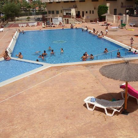 Acuarium 3 Studio - Zand Properties Benidorm Rum bild